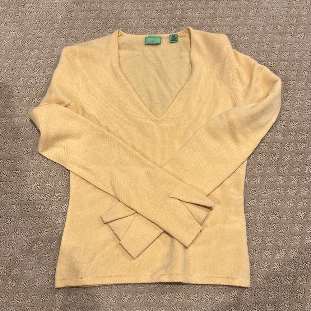 Whim 100% cashmere v neck sweater